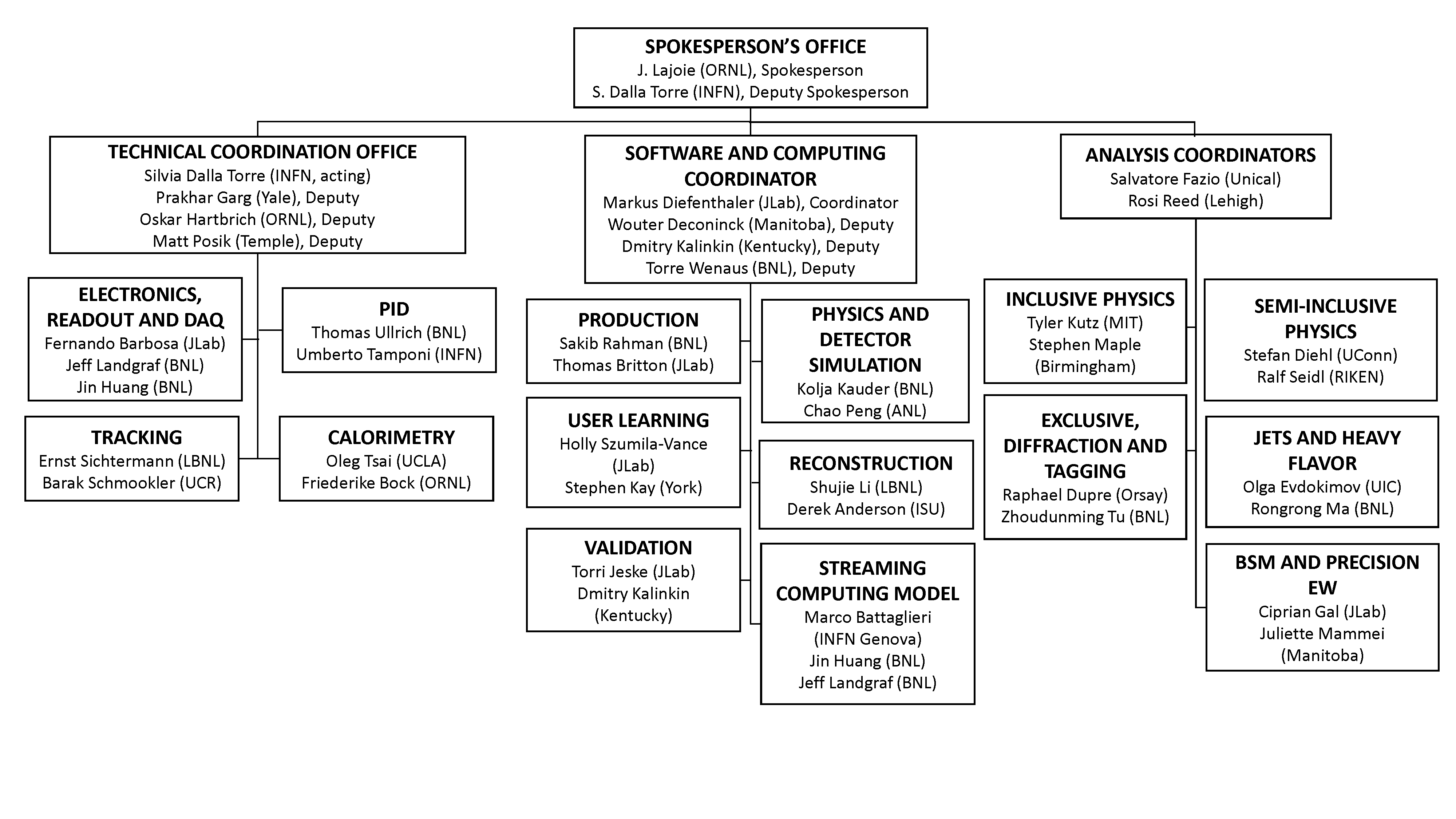 ePIC Working Groups